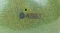 This image for Image Layouts addon
